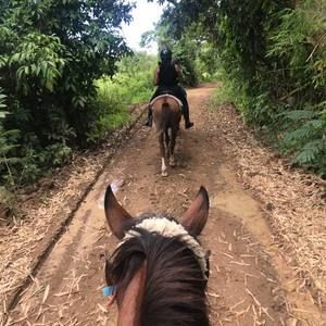 Meet your Posher, Cee